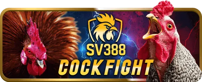 Ưu đãi độc quyền mi88
