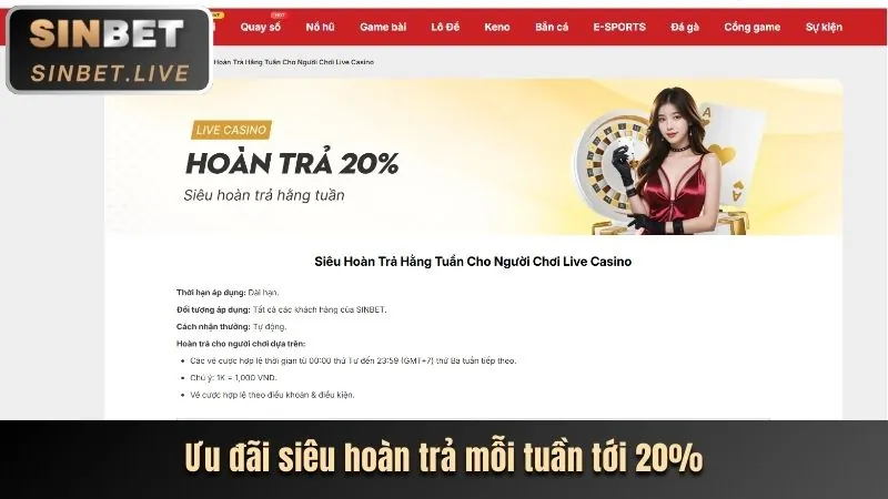 Dealer Người Thật Chuyên Nghiệp